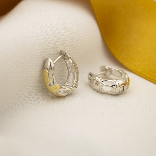 Silver and Gold Earrings