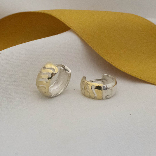 Silver and Gold Earrings